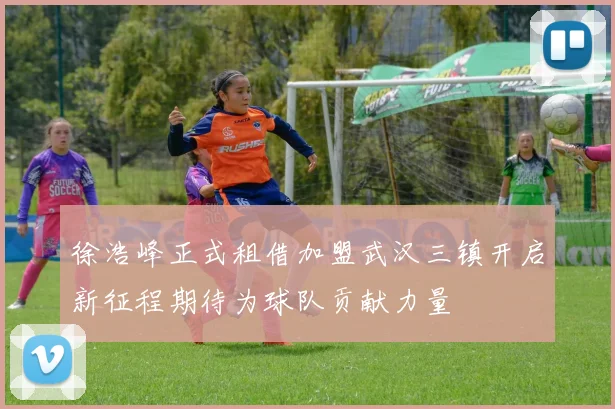 徐浩峰正式租借加盟武汉三镇开启新征程期待为球队贡献力量